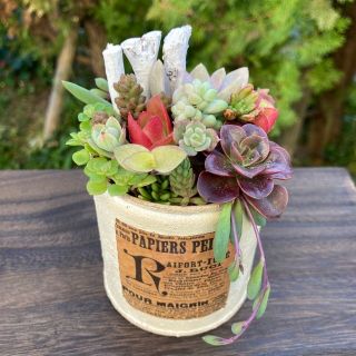 ⭐️お値下げ⭐️多肉植物そのまま飾れる♡ねこさん柄リメイク缶