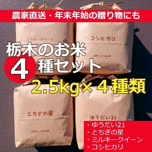 令和2年産 新米 とちぎの星 ブランド米 天皇献上米 10kg