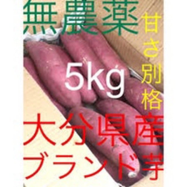 無農薬大分産ブランド芋サツマイモ 貯蔵熟成紅はるか 5キロ送料無料ML A品 食品/飲料/酒の食品(野菜)の商品写真