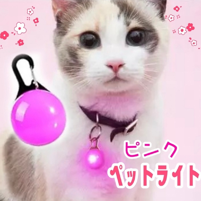ペットライト 首輪 リード 散歩 LED セーフティライト （ ピンク） その他のペット用品(猫)の商品写真