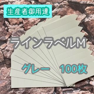 ラインラベル 中 灰100枚 園芸ラベル カラーラベル 多肉植物 エケベリア(プランター)