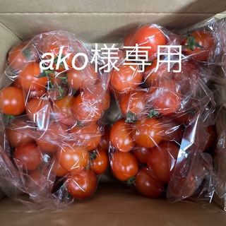 トマトフルティカ専用(野菜)