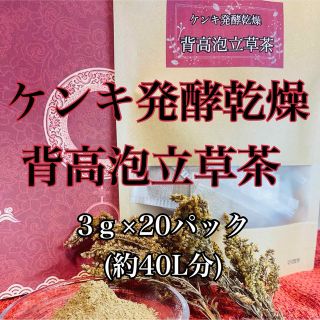 健康茶 デトックスティー：ここでしか買えない特別セイタカアワダチソウ茶◎(健康茶)