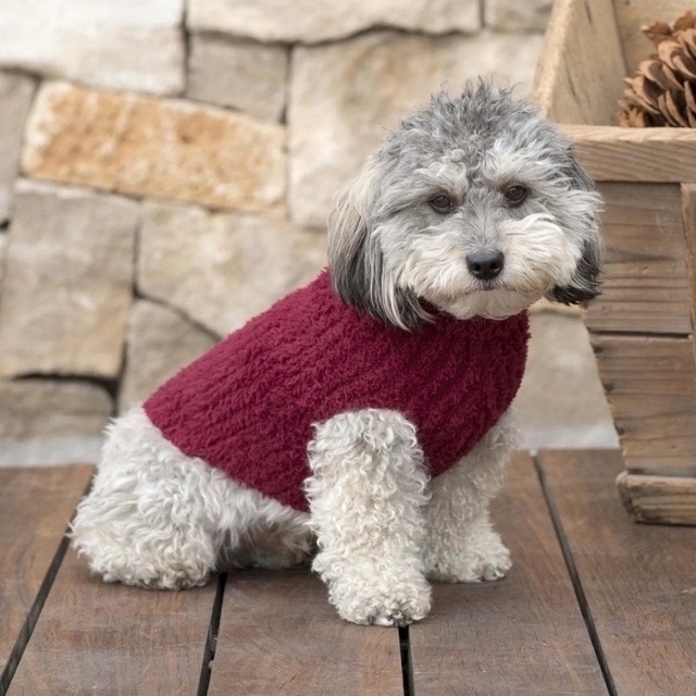 BAREFOOT DREAMS(ベアフットドリームス)のベアフットドリームス　ペット　BAREFOOT DREAMS    犬服 その他のペット用品(犬)の商品写真