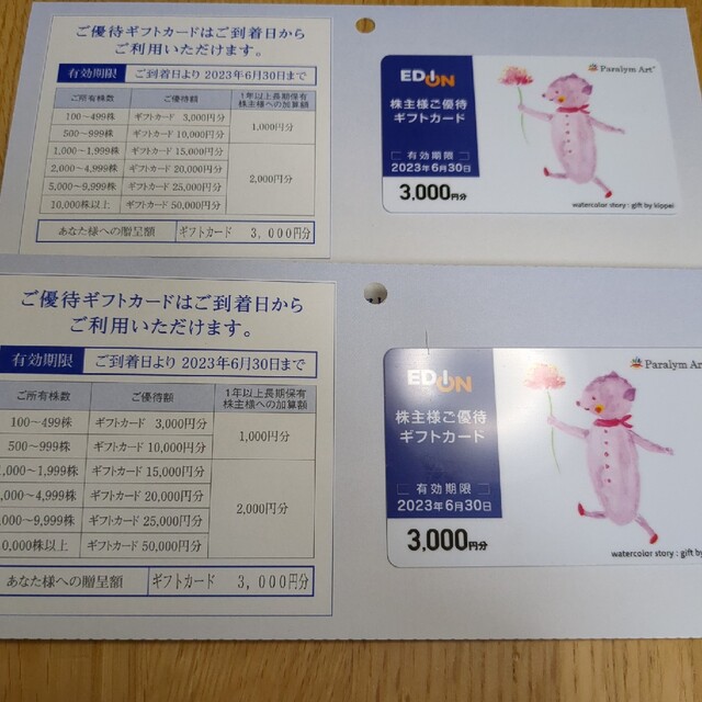 優待券/割引券エディオン  株主優待　6000円分　匿名配送