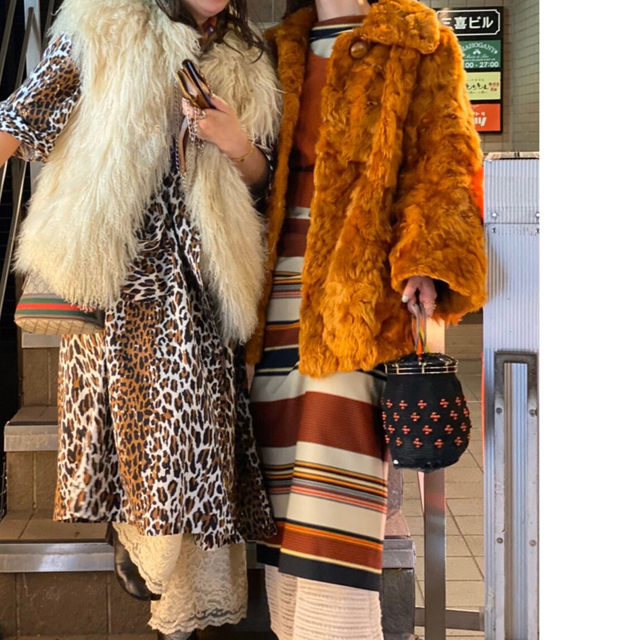 Santa Monica(サンタモニカ)の70s vintage fur coat  レディースのジャケット/アウター(毛皮/ファーコート)の商品写真