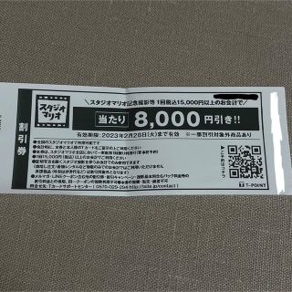 スタジオマリオ　8000円　割引券(その他)