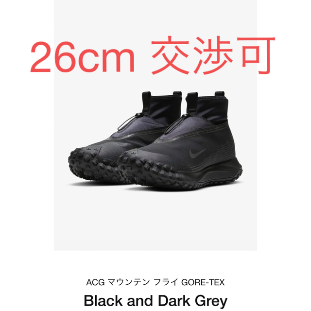 ナイキ ACG MOUNTAIN FLY GORE-TEX NIKEマウンテンフライ - スニーカー