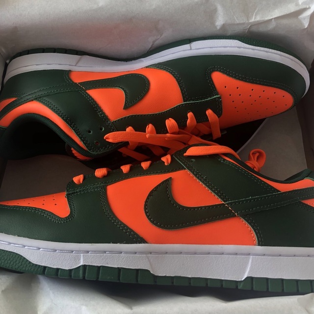 Nike Dunk Low Gorge Green and Orange29cm