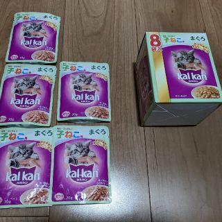 Kalkan　子猫　ウエット(ペットフード)