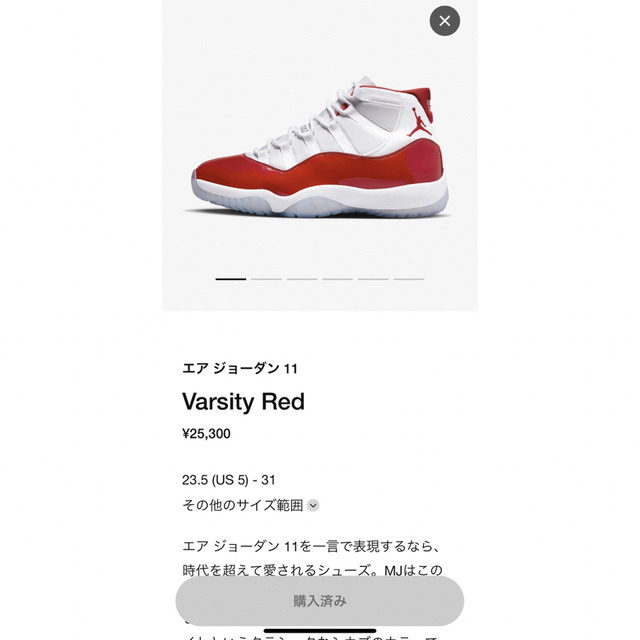 NIKE - 27.5cm Nike Air Jordan 11
