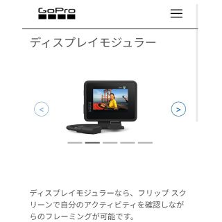 ゴープロ(GoPro)のGoPro ディスプレイモジュラー(その他)