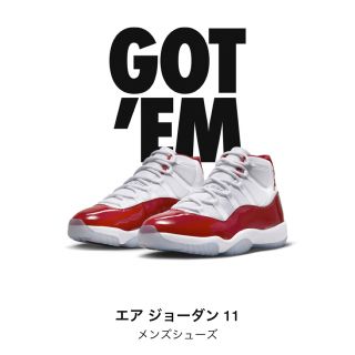 ナイキ(NIKE)のぶたやん様　専用(スニーカー)