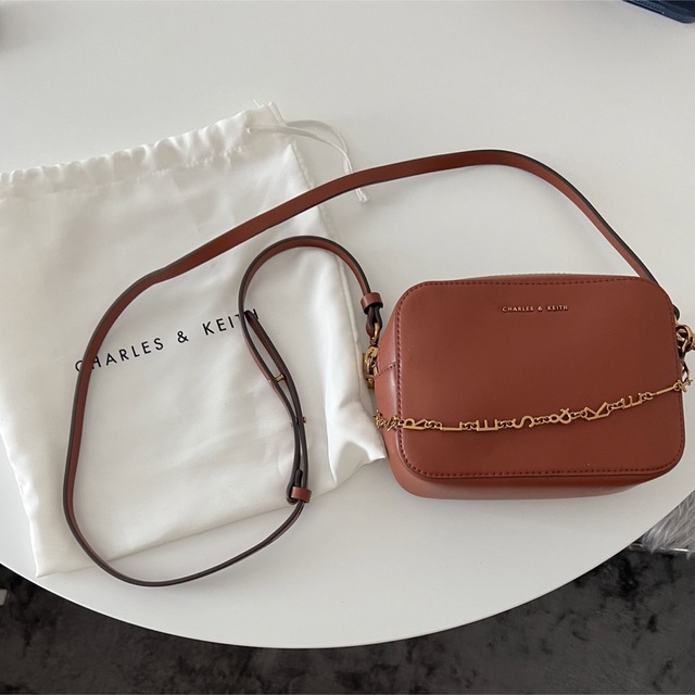 Charles and Keith(チャールズアンドキース)の【超美品】チェーンリンク レクタンギュラーバッグ  12/31まで値下げ レディースのバッグ(ショルダーバッグ)の商品写真