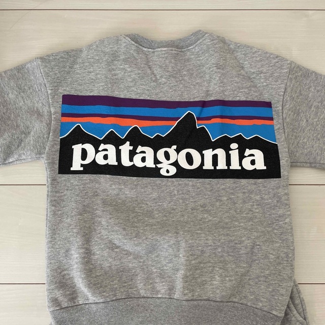 patagonia(パタゴニア)の【patagonia】スエット上下 メンズのトップス(スウェット)の商品写真