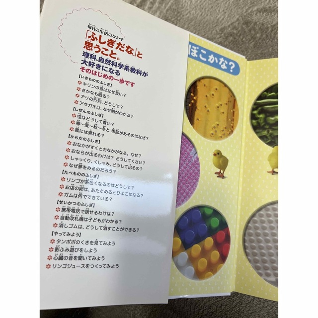 ふしぎの図鑑　ずかん　小学館 エンタメ/ホビーの本(絵本/児童書)の商品写真