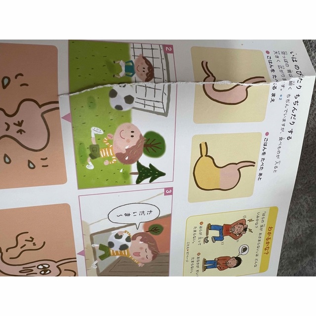 ふしぎの図鑑　ずかん　小学館 エンタメ/ホビーの本(絵本/児童書)の商品写真