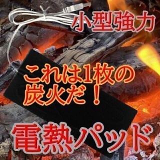 【電熱パッド】 お好みの衣類が電熱ベストになる(ダウンジャケット)