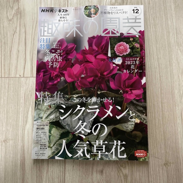 NHK 趣味の園芸 2022年 12月号 エンタメ/ホビーの雑誌(その他)の商品写真