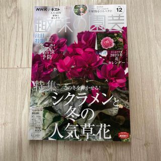 NHK 趣味の園芸 2022年 12月号(その他)