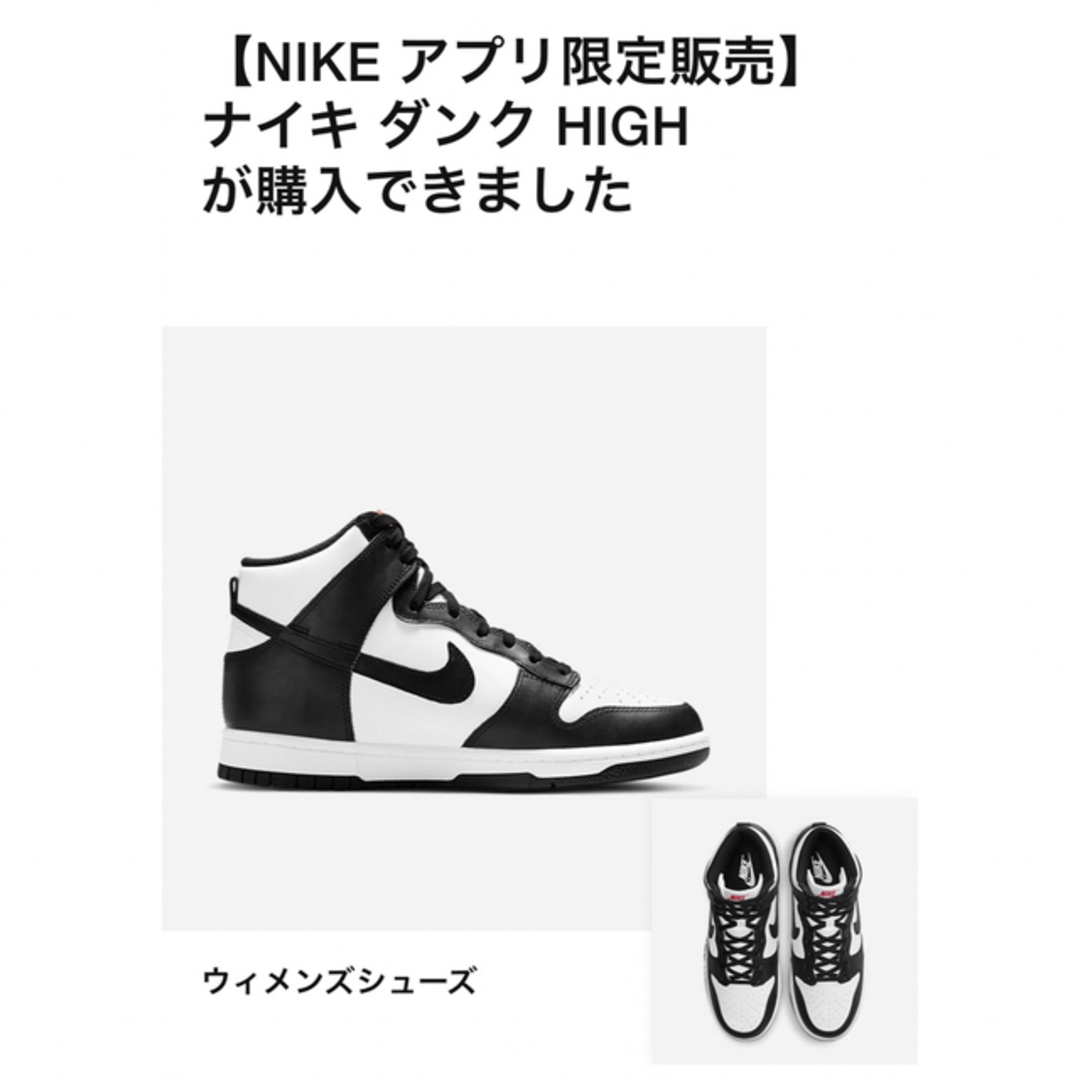 NIKE(ナイキ)の新品未使用　NIKE DUNK HIGH  28.0 レディースの靴/シューズ(スニーカー)の商品写真