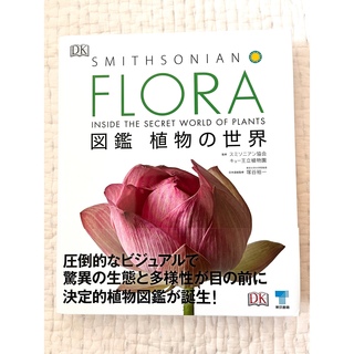 FLORA 植物図鑑(その他)
