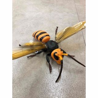 パネル ニューアートフレーム ナチュラル スズメバチフギヤ | iuggu.ru