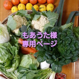 もあうた様　専用ページです(野菜)