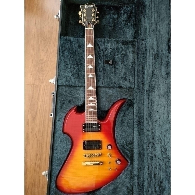超ポイントアップ祭 Fernandes ドンズバ hide MG-380Ⅹ Burny - エレキ