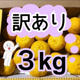 ラクマ訳あり3キロ① 多田錦 種無し 柚子 総重量3kg ゆず(フルーツ)