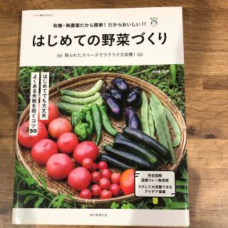 はじめての野菜づくり(趣味/スポーツ/実用)