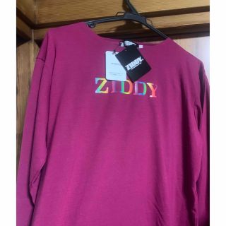 ジディー(ZIDDY)の☆値下げ☆ziddy ガールズ　長袖カットソー　free / 160(Tシャツ/カットソー)