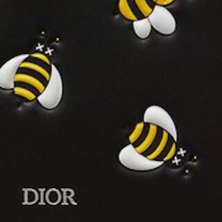 Christian Dior - ○新品/正規品○ DIOR x KAWS カーフスキン BEE 折 