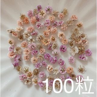 (04)かすみ草ドライフラワー100粒(ドライフラワー)