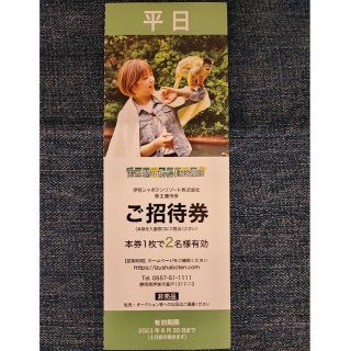 伊豆シャボテン動物公園 株主優待 平日2名様×1枚(遊園地/テーマパーク)