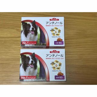 アンチノール　犬用　60粒×2箱セット