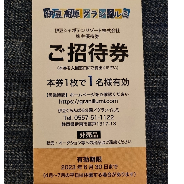 【えり様専用】伊豆高原 グランイルミ 全日1名様×2枚 チケットの施設利用券(遊園地/テーマパーク)の商品写真