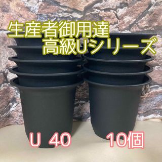 U40 10個 高級 プラ鉢 4号 U-40多肉植物 アガベ ユーフォルビア(プランター)