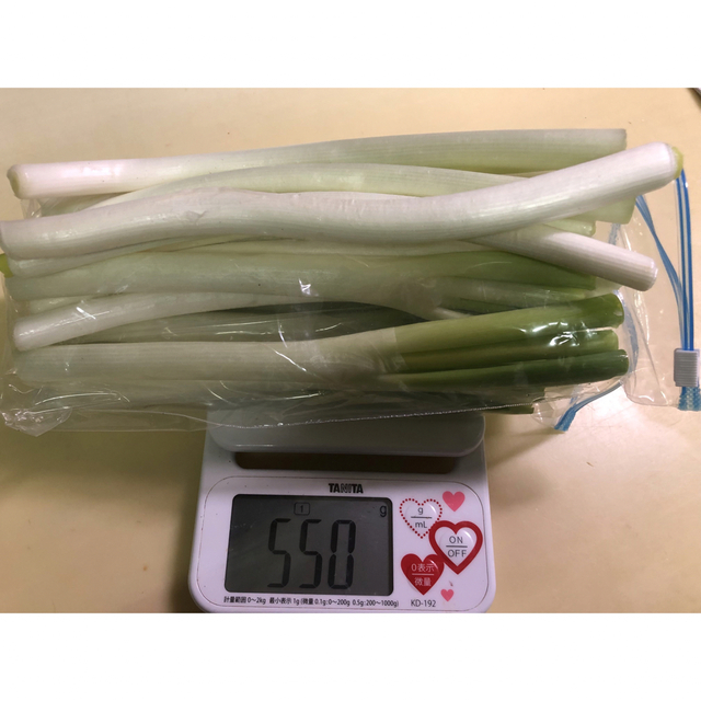 北海道産　軟白ネギ　550グラム 食品/飲料/酒の食品(野菜)の商品写真