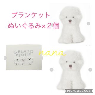gelato pique - ビションフリーゼブランケット&ぬいぐるみ2個