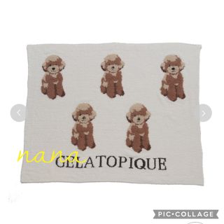 ジェラートピケ(gelato pique)のトイプードルジャガードブランケット(その他)