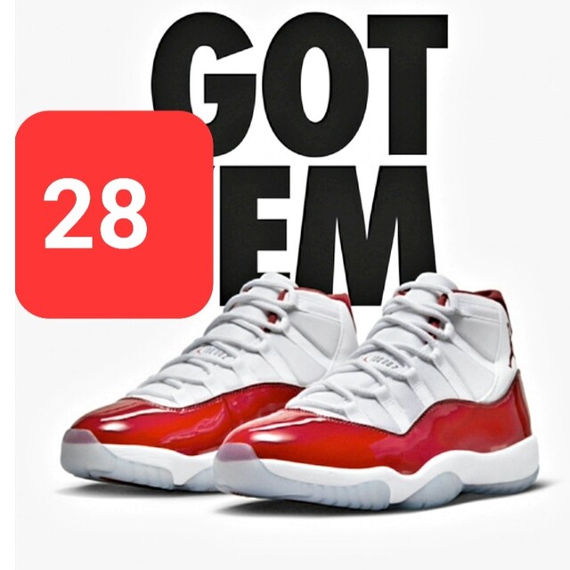 Nike Air Jordan 11 "Varsity Red　28センチ