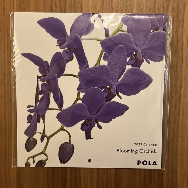 POLA(ポーラ)のPOLA 2023年カレンダー インテリア/住まい/日用品の文房具(カレンダー/スケジュール)の商品写真