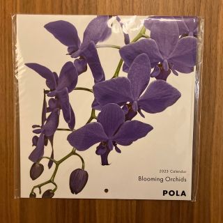 ポーラ(POLA)のPOLA 2023年カレンダー(カレンダー/スケジュール)