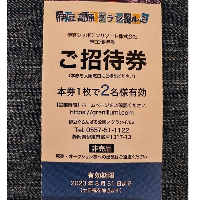 【Natsu様専用】伊豆高原 グランイルミ 平日2名様×1枚 チケットの施設利用券(遊園地/テーマパーク)の商品写真