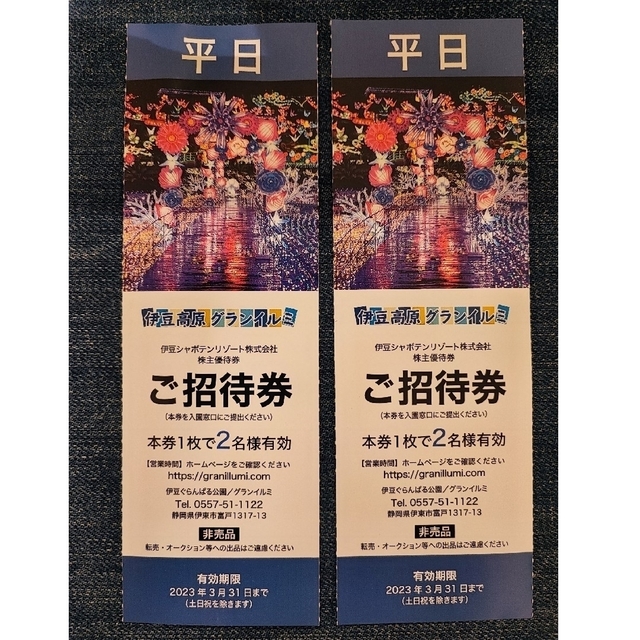 伊豆高原 グランイルミ 平日2名様×2枚 チケットの施設利用券(遊園地/テーマパーク)の商品写真