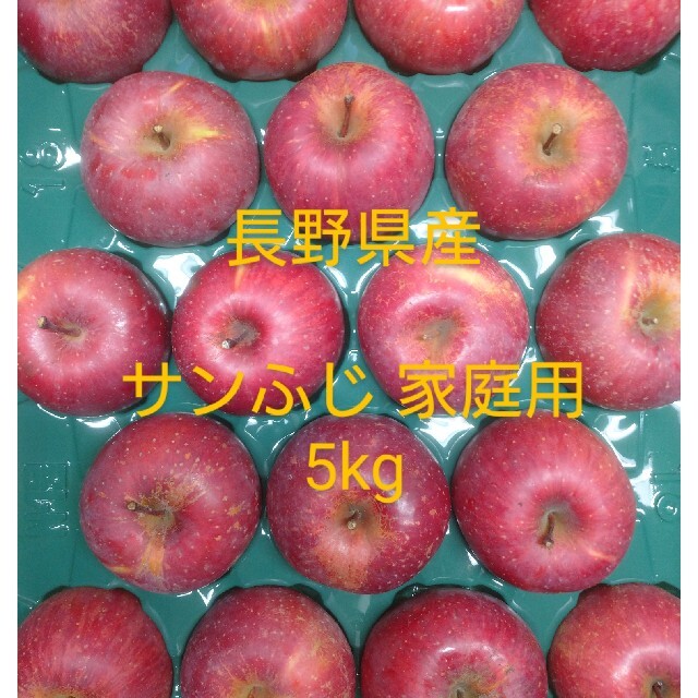 F-3 サンふじ 家庭用5kg 長野県産りんご 食品/飲料/酒の食品(フルーツ)の商品写真