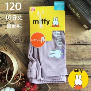 ミッフィー(miffy)の【120】ミッフィ 10分丈 裏起毛 レギンス 紫系(パンツ/スパッツ)