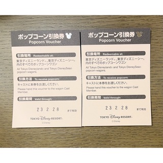 ディズニー(Disney)の【匿名配送】東京ディズニーリゾート ポップコーン引換券　2枚セット(遊園地/テーマパーク)