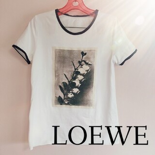 LOEWE - LOEWE Disney ダンボ Tシャツの通販 by P&Y｜ロエベならラクマ